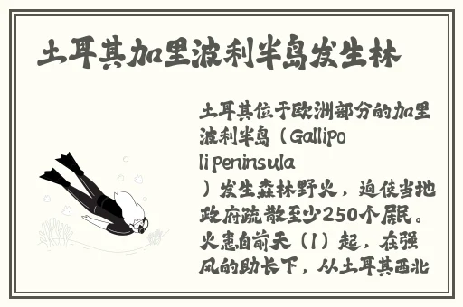 我的兔子好软水好多H15动漫